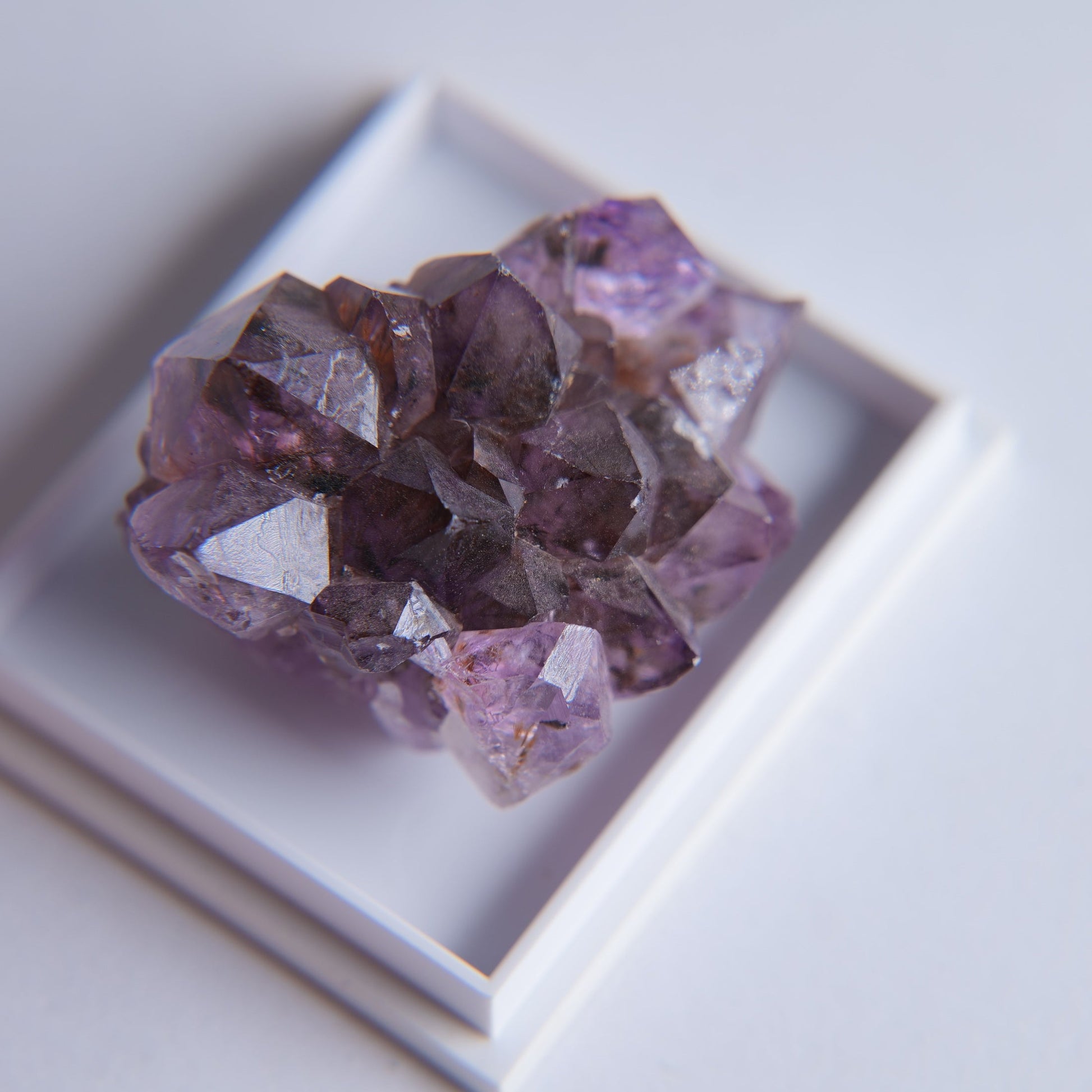 Quartz var. Amethyst from Minas Gerais, Brazil - 18.68g - Luna Panther