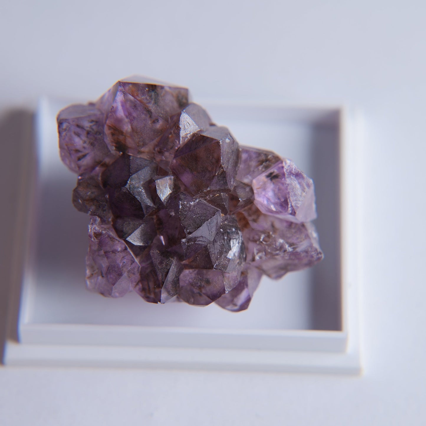 Quartz var. Amethyst from Minas Gerais, Brazil - 18.68g - Luna Panther