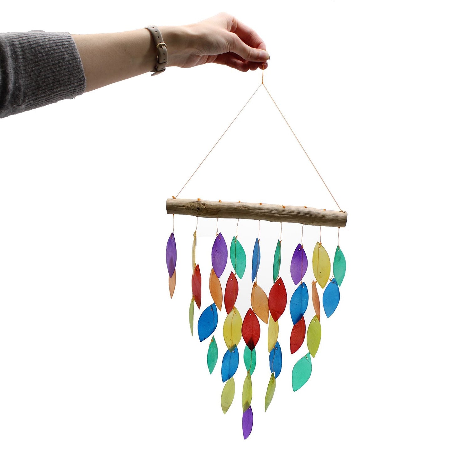 Rainbow Leaf Copis Chime - Luna Panther