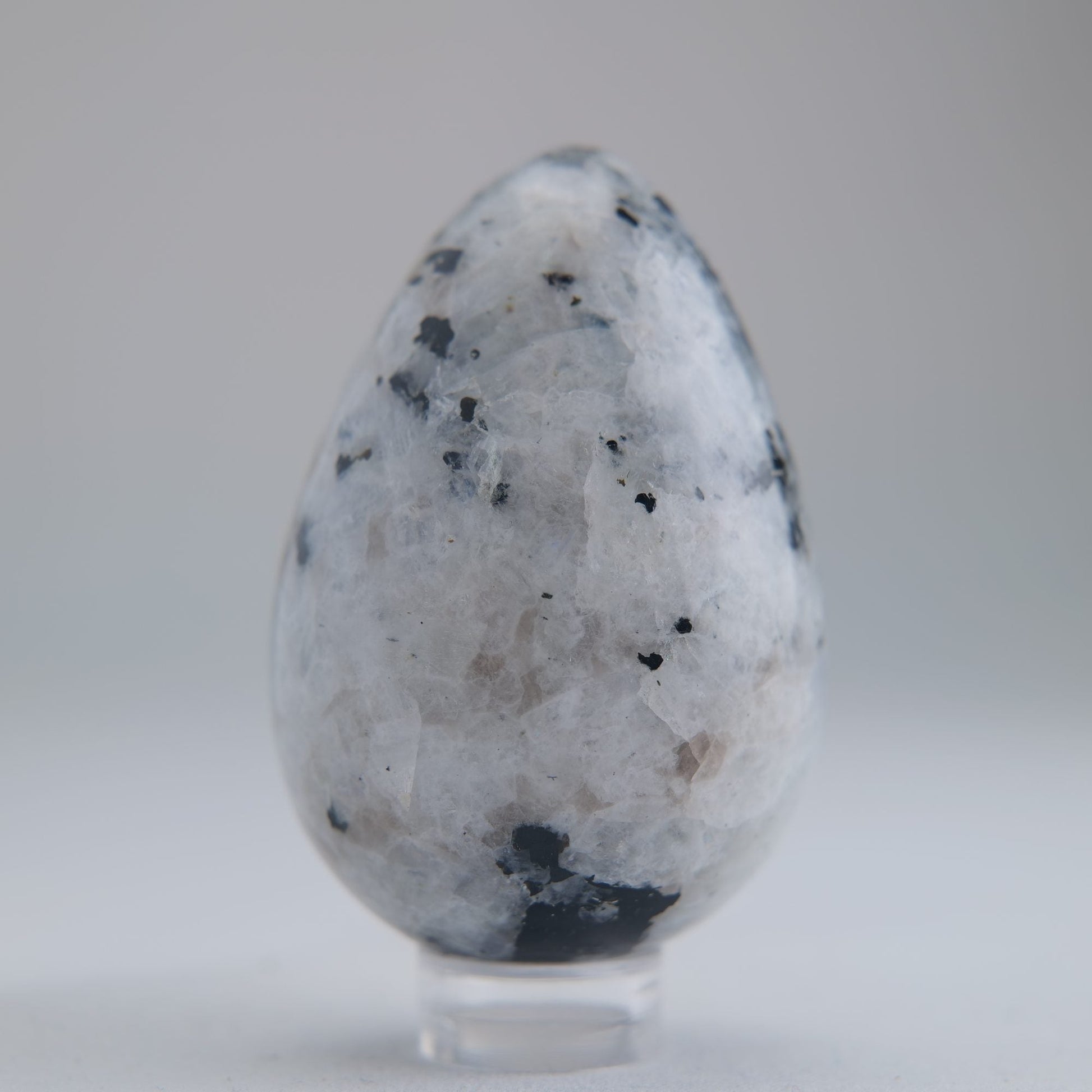 Rainbow Moonstone Egg 104g - Luna Panther