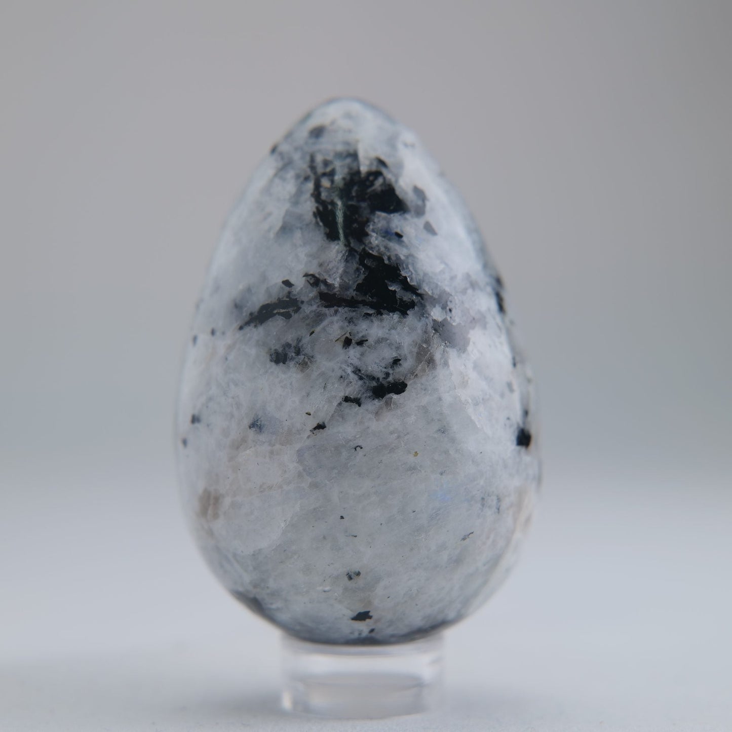 Rainbow Moonstone Egg 104g - Luna Panther