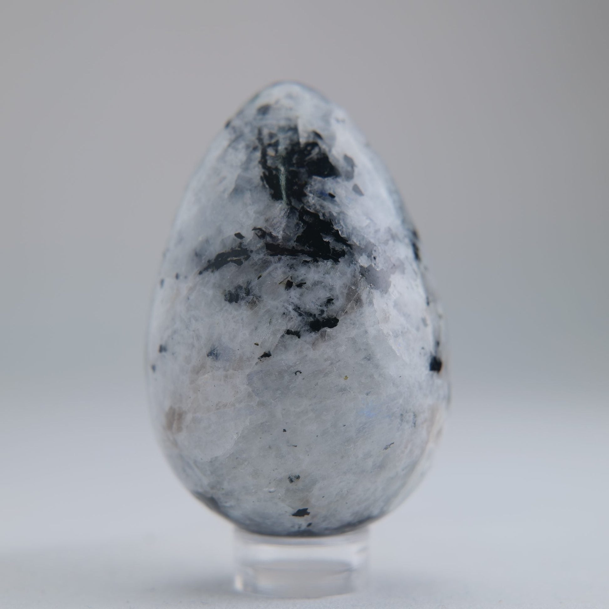 Rainbow Moonstone Egg 104g - Luna Panther