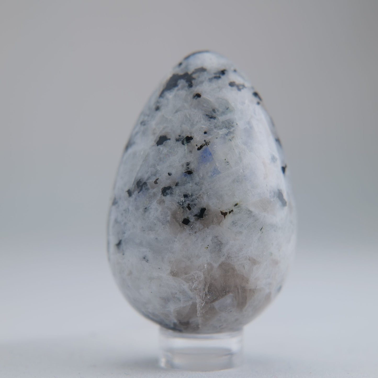 Rainbow Moonstone Egg 104g - Luna Panther