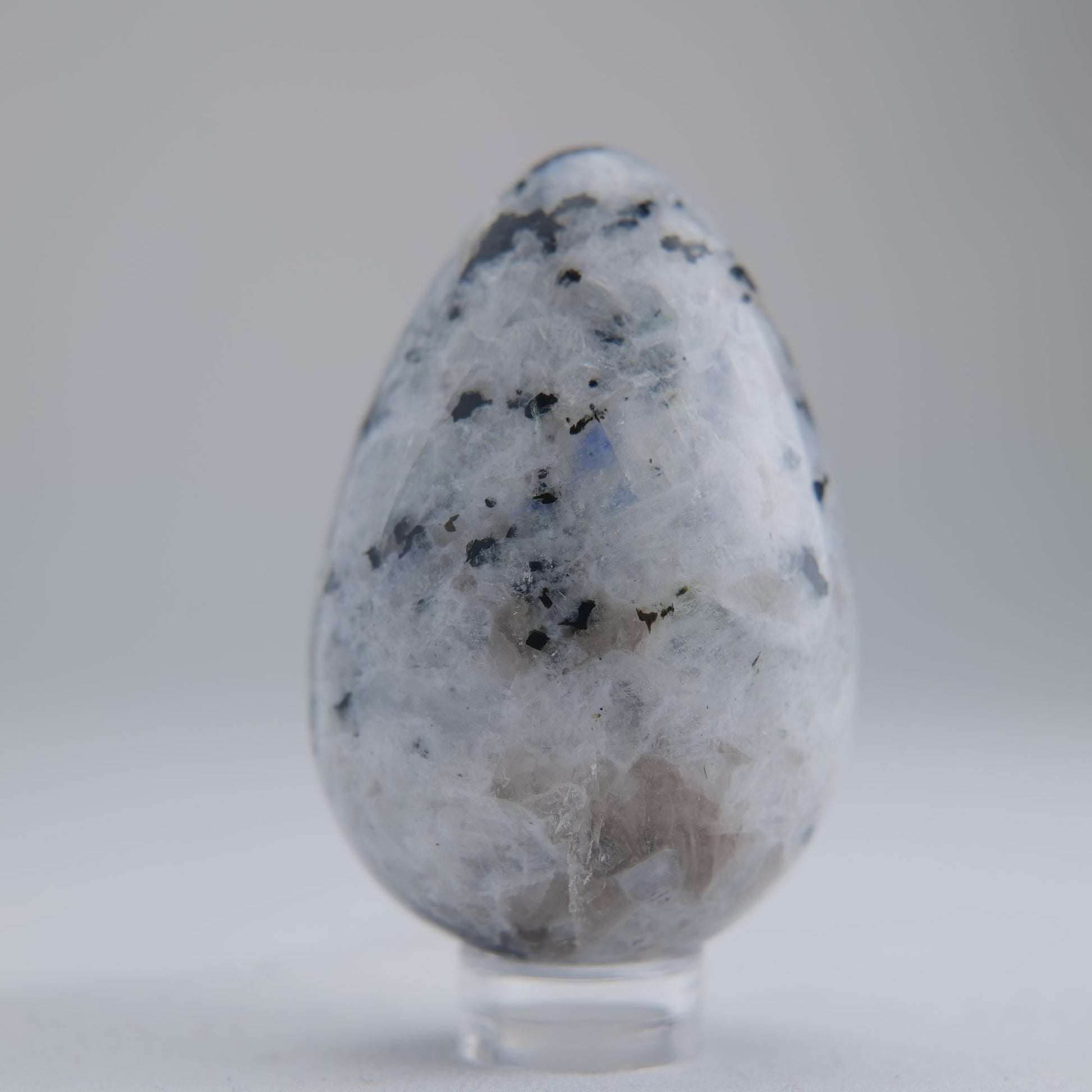 Rainbow Moonstone Egg 104g - Luna Panther