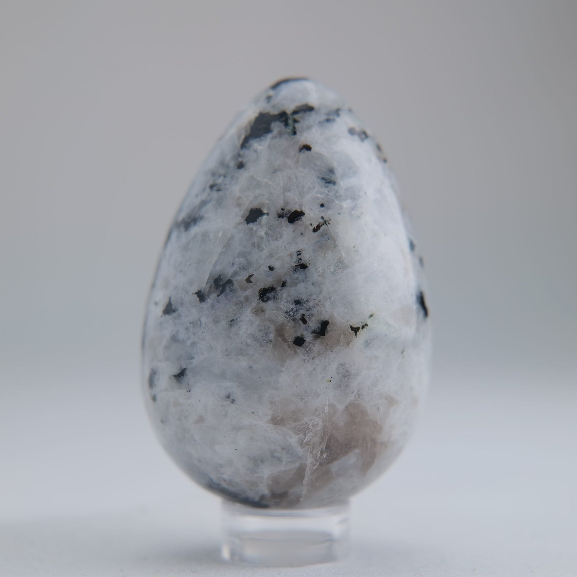 Rainbow Moonstone Egg 104g - Luna Panther