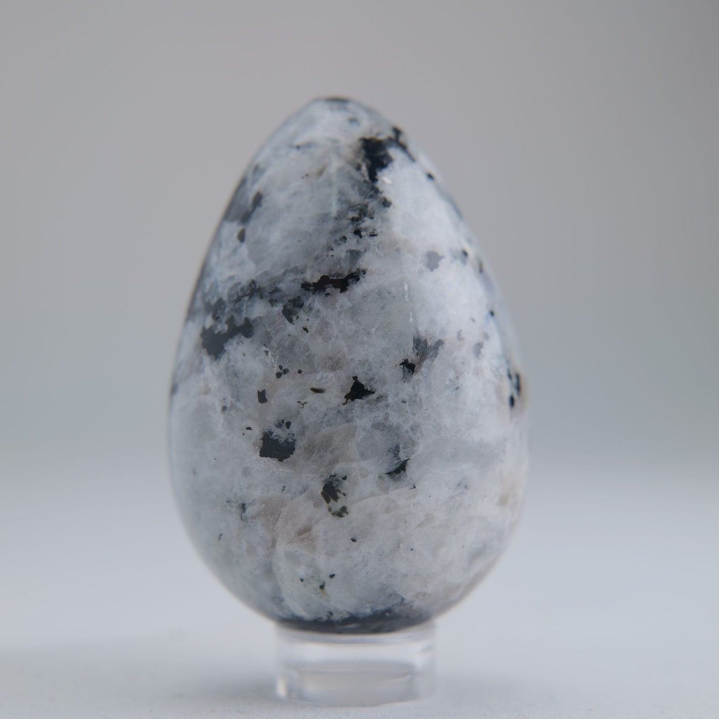 Rainbow Moonstone Egg 104g - Luna Panther