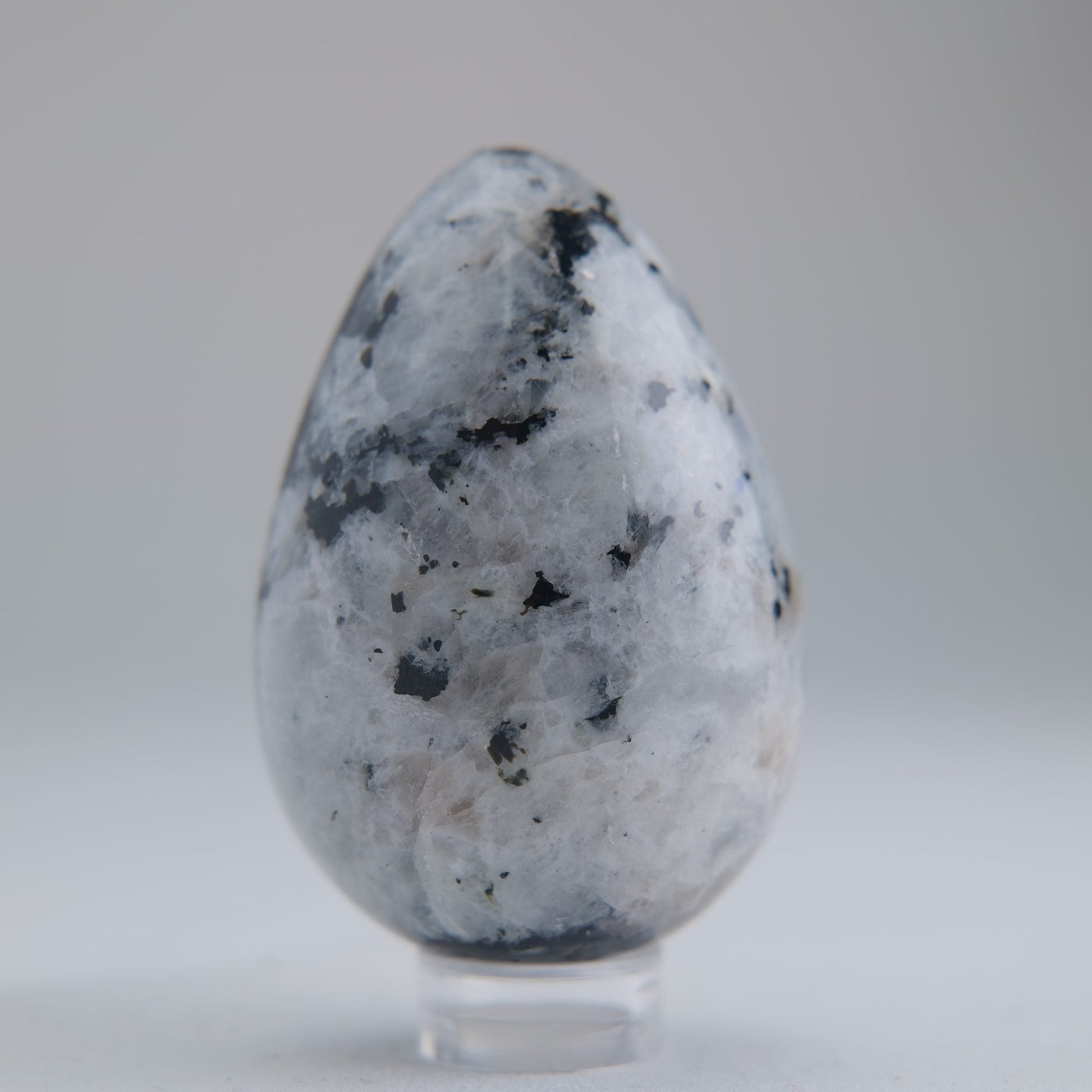 Rainbow Moonstone Egg 104g - Luna Panther
