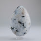 Rainbow Moonstone Egg 137g 60mm - Luna Panther