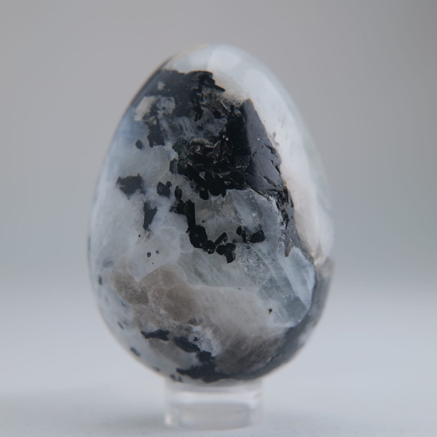 Rainbow Moonstone Egg 141g - Luna Panther