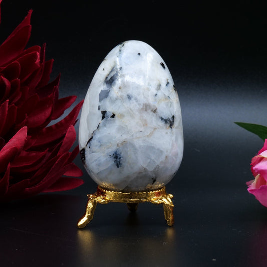 Rainbow Moonstone Egg — 218 g (70×50 mm) - Luna Panther