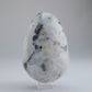 Rainbow Moonstone Egg 218g 70mm - Luna Panther
