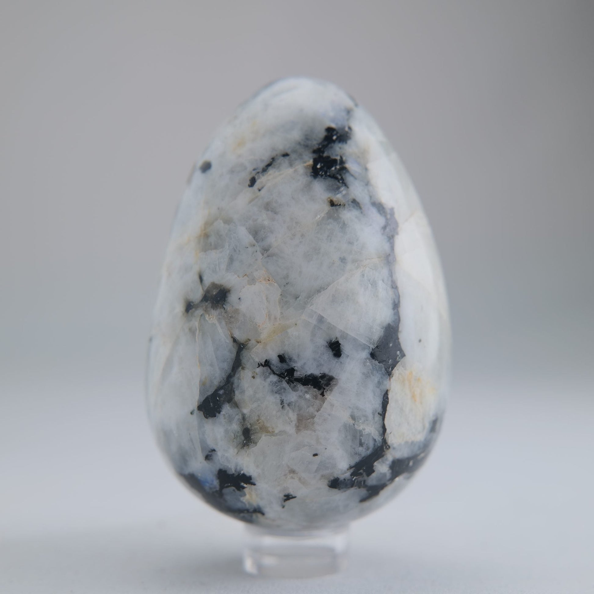 Rainbow Moonstone Egg 218g 70mm - Luna Panther