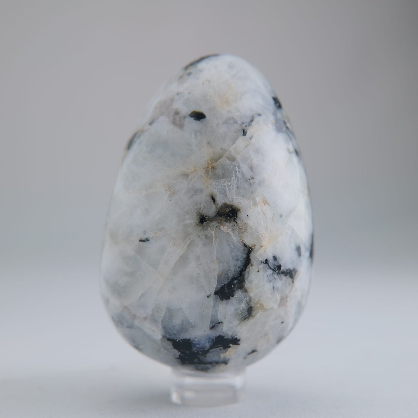 Rainbow Moonstone Egg 218g 70mm - Luna Panther