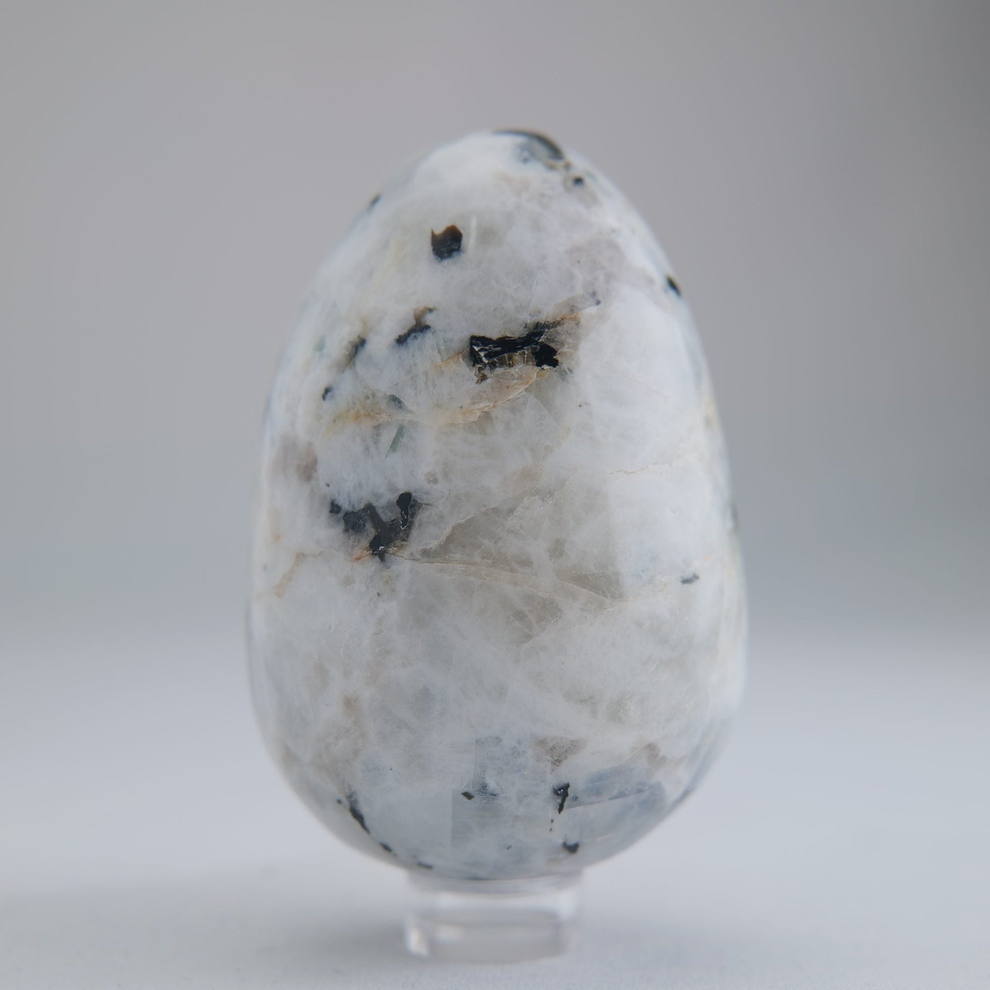 Rainbow Moonstone Egg 218g 70mm - Luna Panther