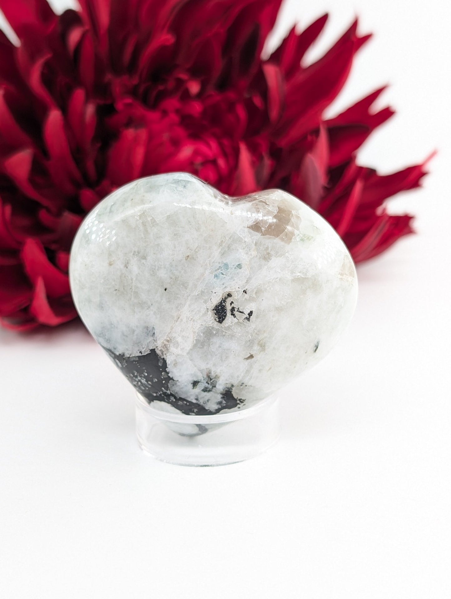 Polished Rainbow Moonstone Heart Palm Stone 60mm featuring pearly adularescence and soft sheen - Luna Panther
