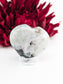 Polished Rainbow Moonstone Heart Palm Stone 60mm featuring pearly adularescence and soft sheen - Luna Panther