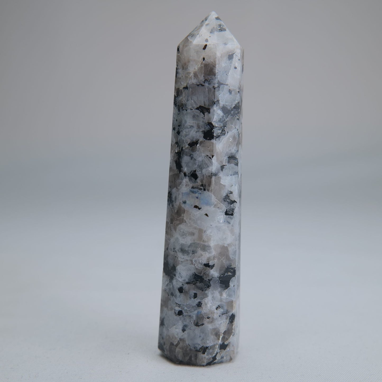 Rainbow Moonstone Obelisk 73g 95mm - Luna Panther