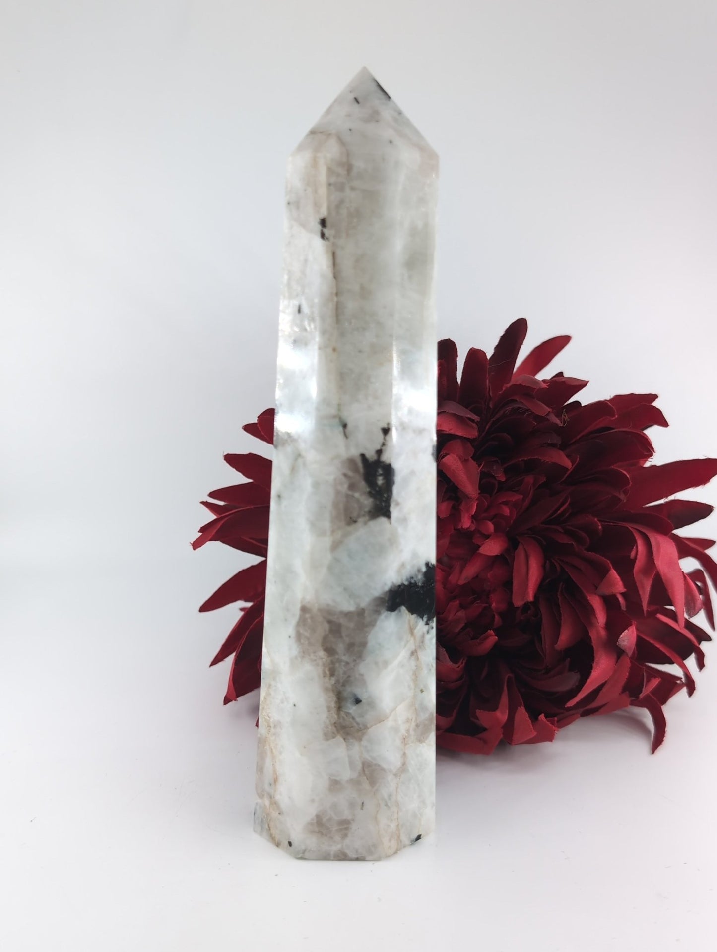 Polished Rainbow Moonstone Point 707g featuring pearly adularescence and soft sheen - Luna Panther