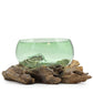 Recycled Beer Bottles - Large Wide Bowl on Wood - Luna Panther
