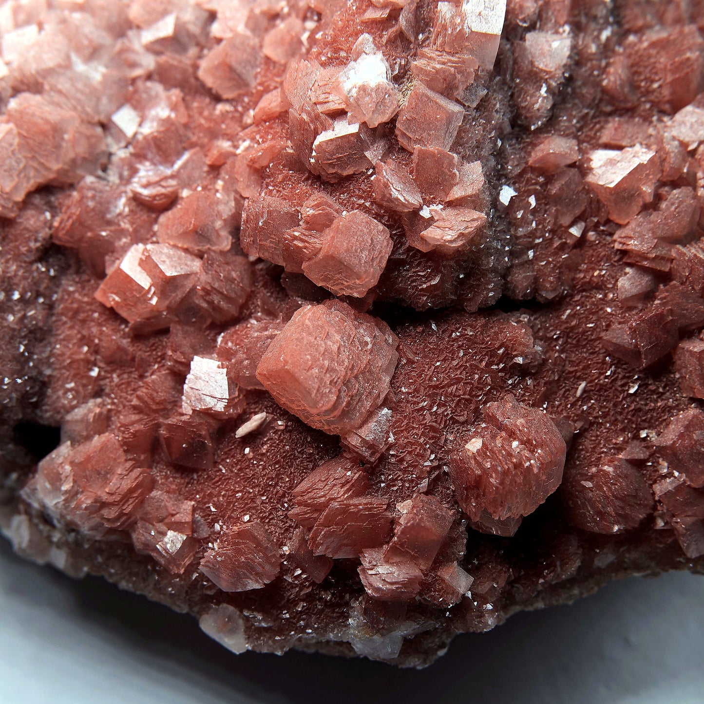 Red Calcite Crystal Cluster on Matrix - 1659g - Luna Panther