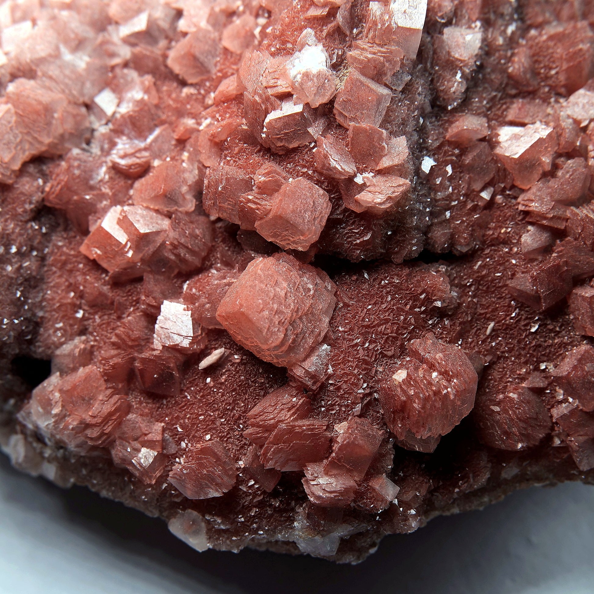 Red Calcite Crystal Cluster on Matrix - 1659g - Luna Panther