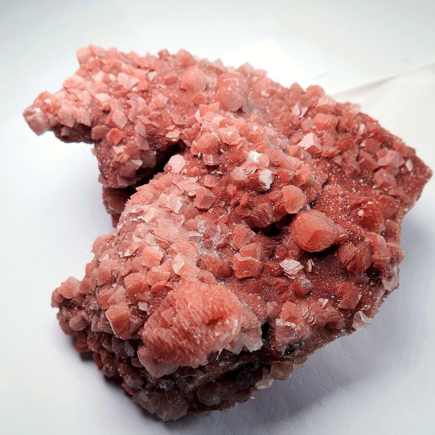 Red Calcite Crystal Cluster on Matrix - 1659g - Luna Panther