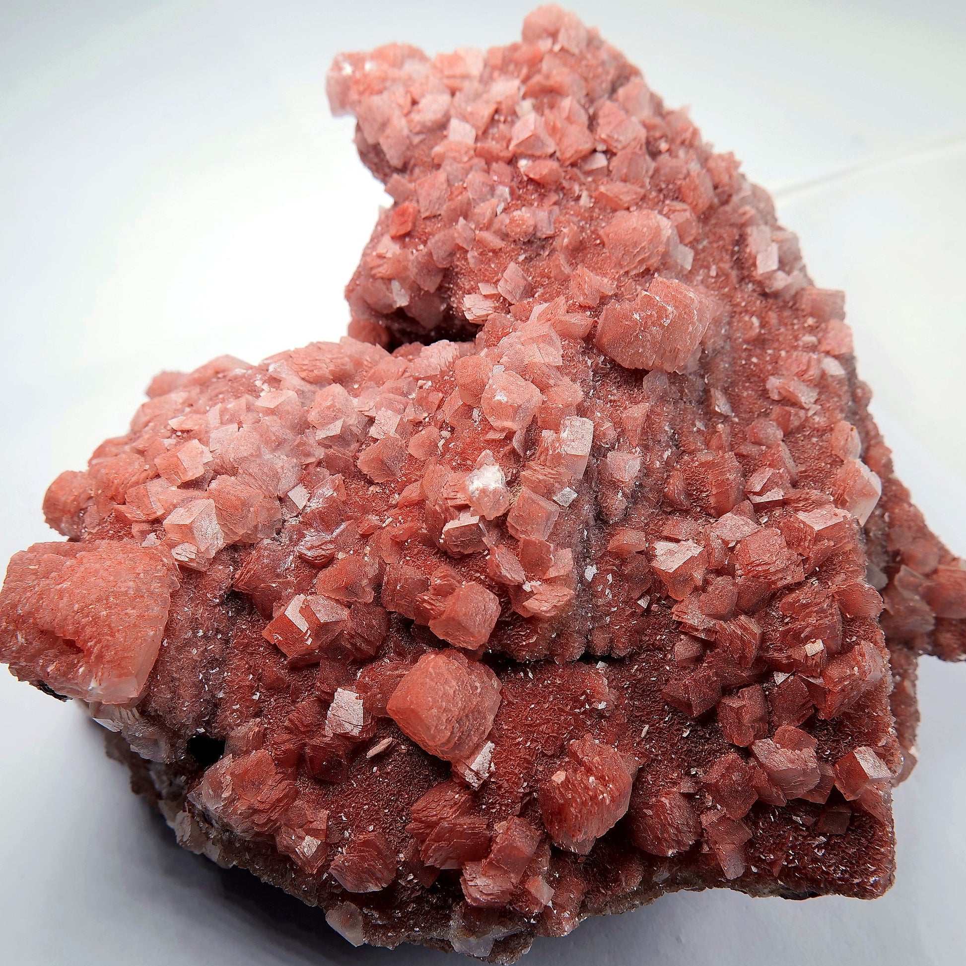 Red Calcite Crystal Cluster on Matrix - 1659g - Luna Panther
