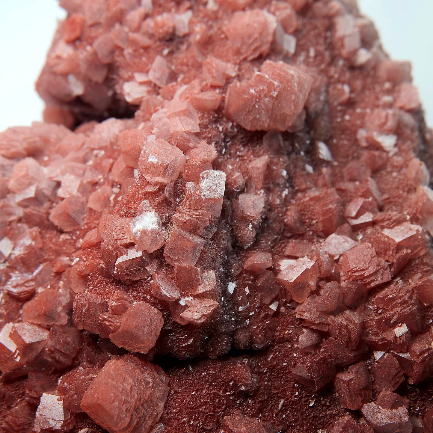 Red Calcite Crystal Cluster on Matrix - 1659g - Luna Panther