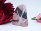 Rhodonite Freeform — 214 g - Luna Panther