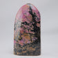 Rhodonite Freeform 371g - Luna Panther
