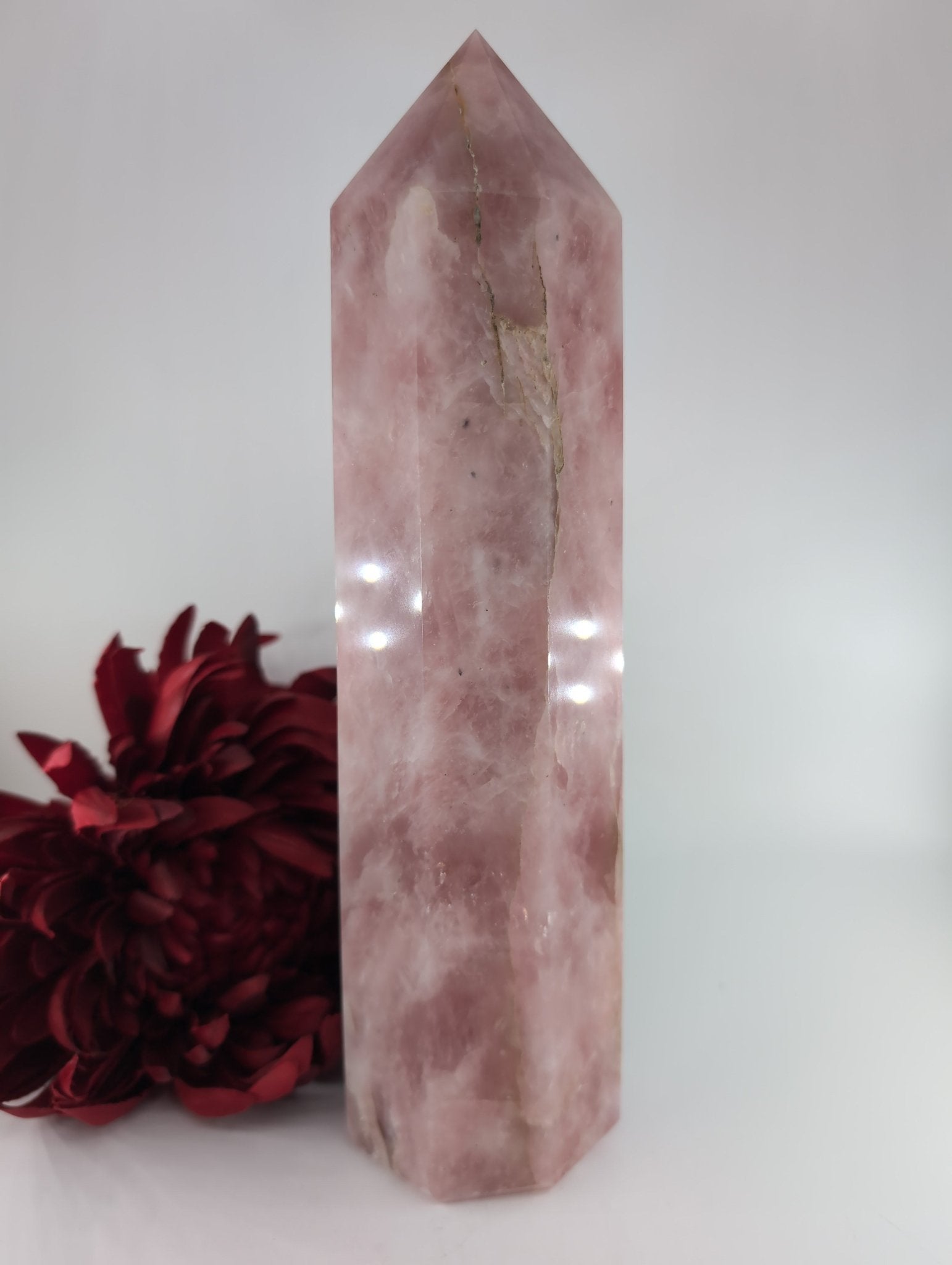 Polished Rose Quartz Point 2123g featuring soft pink tone and gentle translucence - Luna Panther