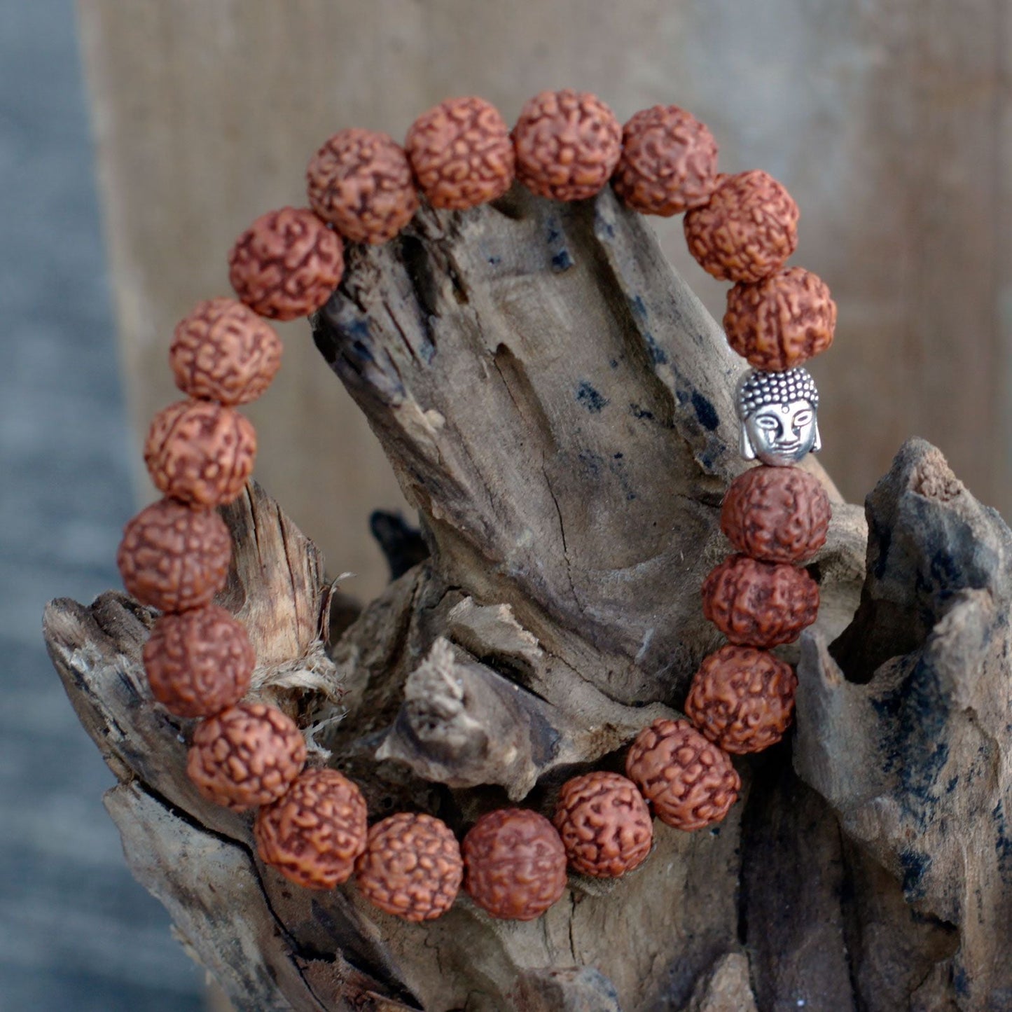 Rudraksha Buddha Bangle Mala - Natural - Luna Panther
