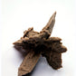 Sand Rose from Herne Bay, Kent - 15.37g - Luna Panther