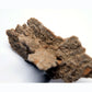 Sand Rose from Herne Bay, Kent - 17.22g - Luna Panther