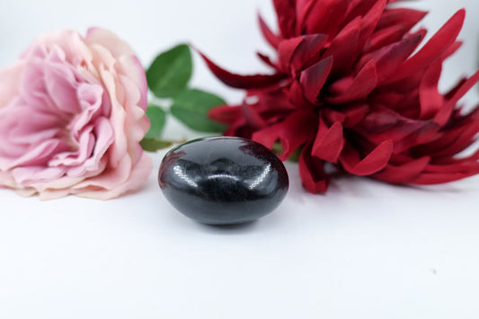Polished School Black Tourmaline Gallet 112G featuring deep black tone with natural striations - Luna Panther alternate view