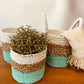 Seagrass Basket Set - Green / Natural / White - Luna Panther
