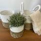 Seagrass Basket Set - Grey / Natural / White - Luna Panther