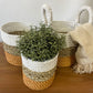 Seagrass Basket Set - Orange / Natural / White - Luna Panther