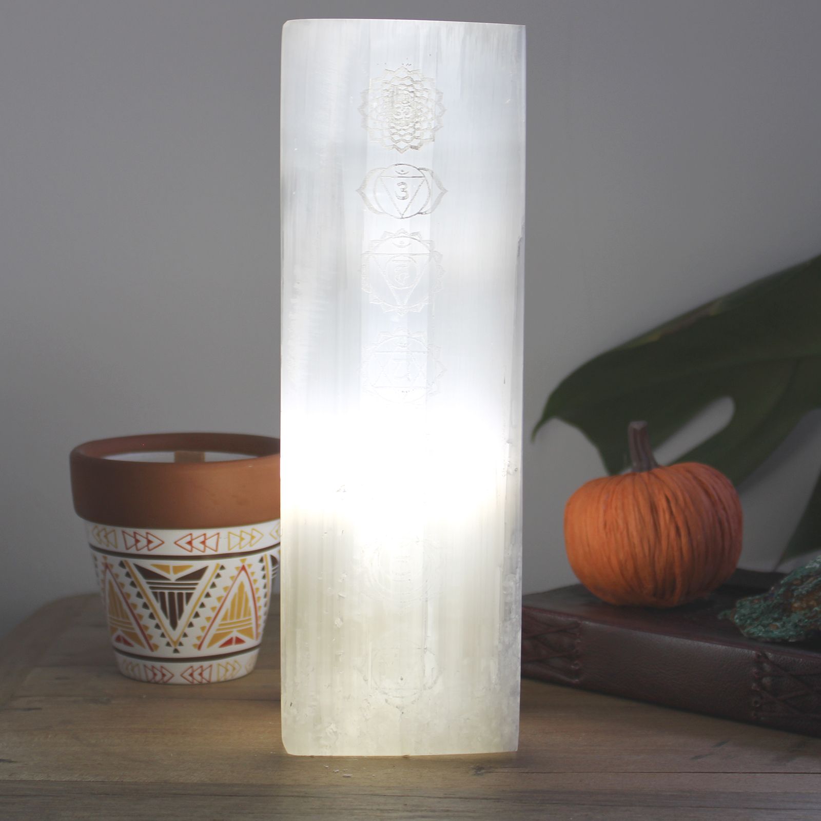 Polished Selenite Block Lamp 25cm - Chakra Lamp featuring satin white sheen and fibrous texture - Luna Panther