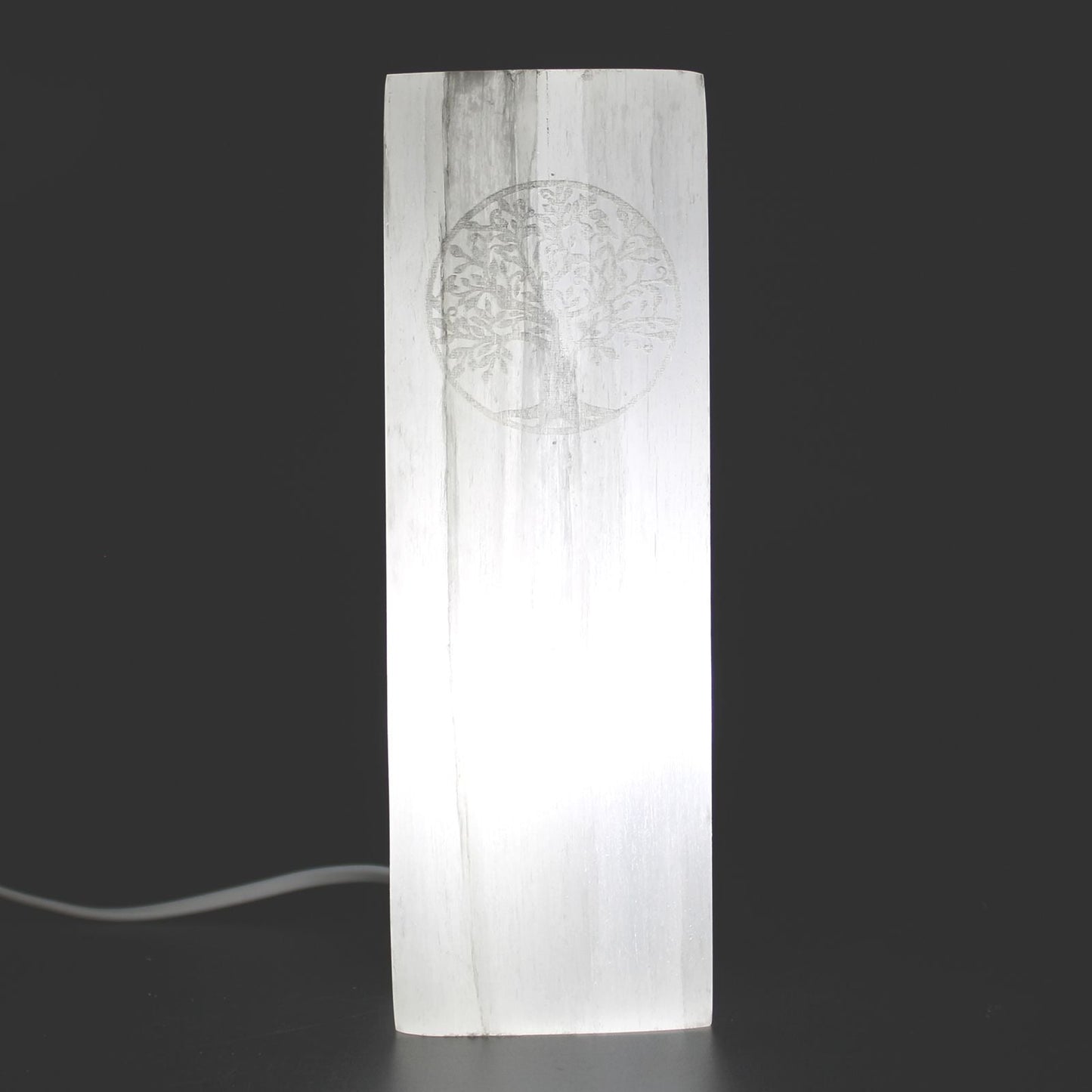 Polished Selenite Block Lamp 25Cm Tree Of Life featuring satin white sheen and fibrous texture - Luna Panther