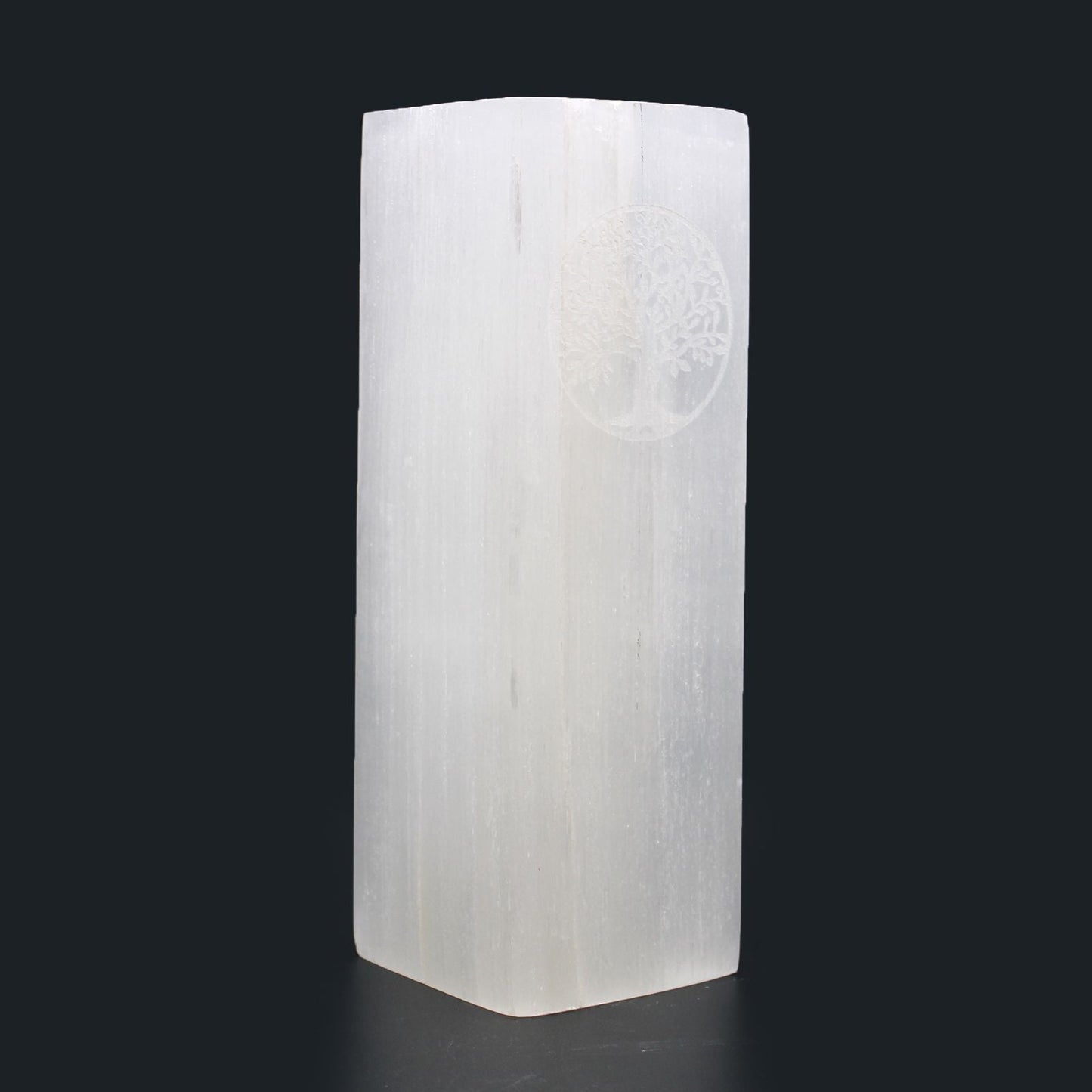 Polished Selenite Block Lamp 25Cm Tree Of Life featuring satin white sheen and fibrous texture - Luna Panther