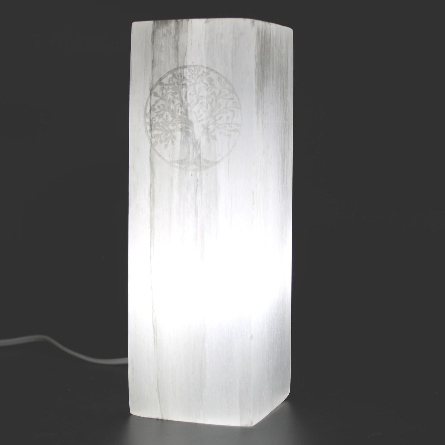 Polished Selenite Block Lamp 25Cm Tree Of Life featuring satin white sheen and fibrous texture - Luna Panther