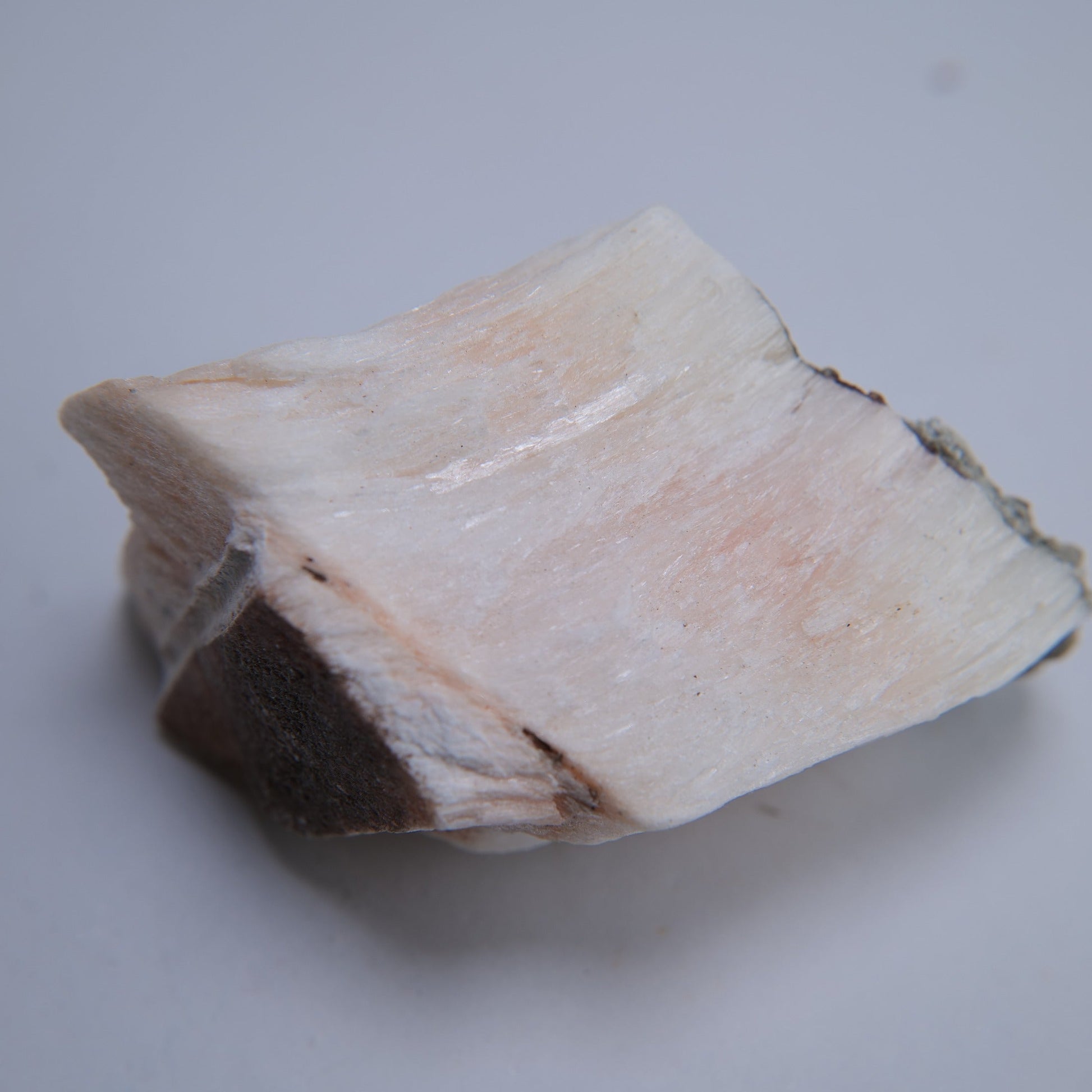 Selenite from Ringway Airport Extension, Cheshire, UK - 147g - Luna Panther
