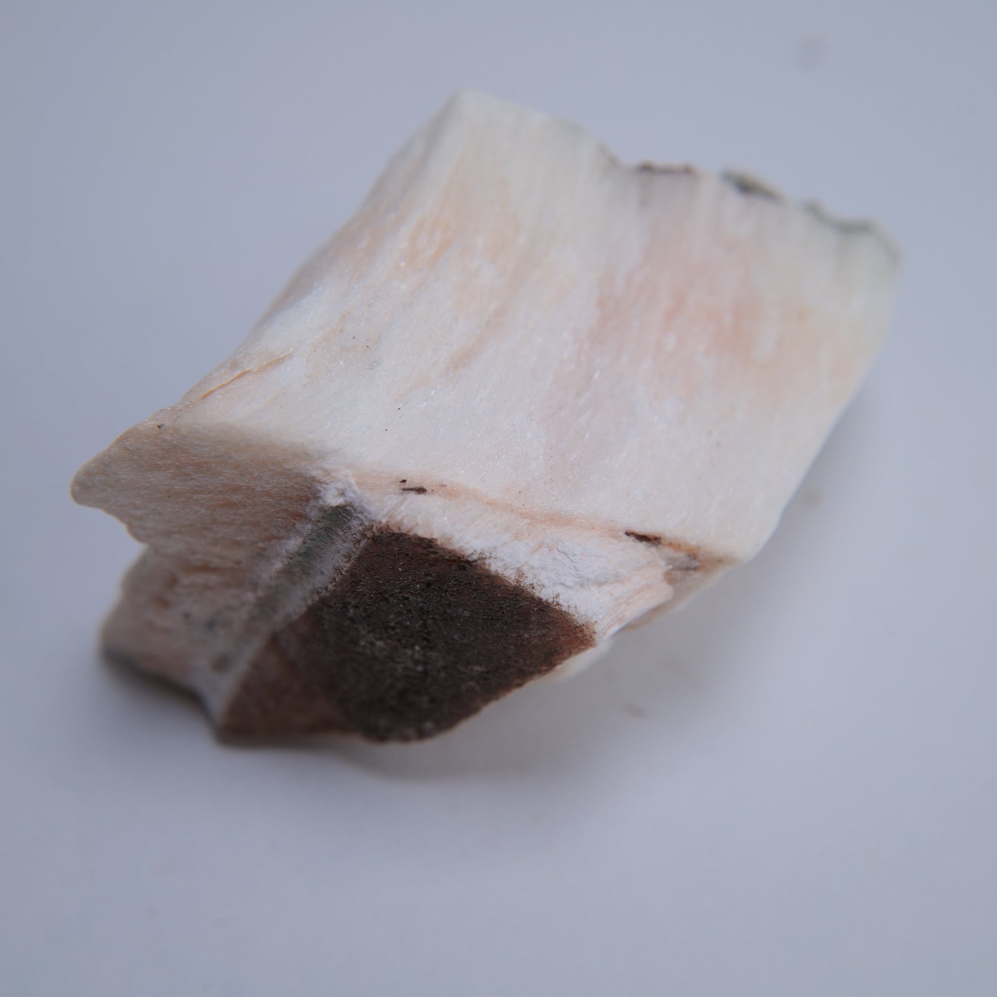 Selenite from Ringway Airport Extension, Cheshire, UK - 147g - Luna Panther