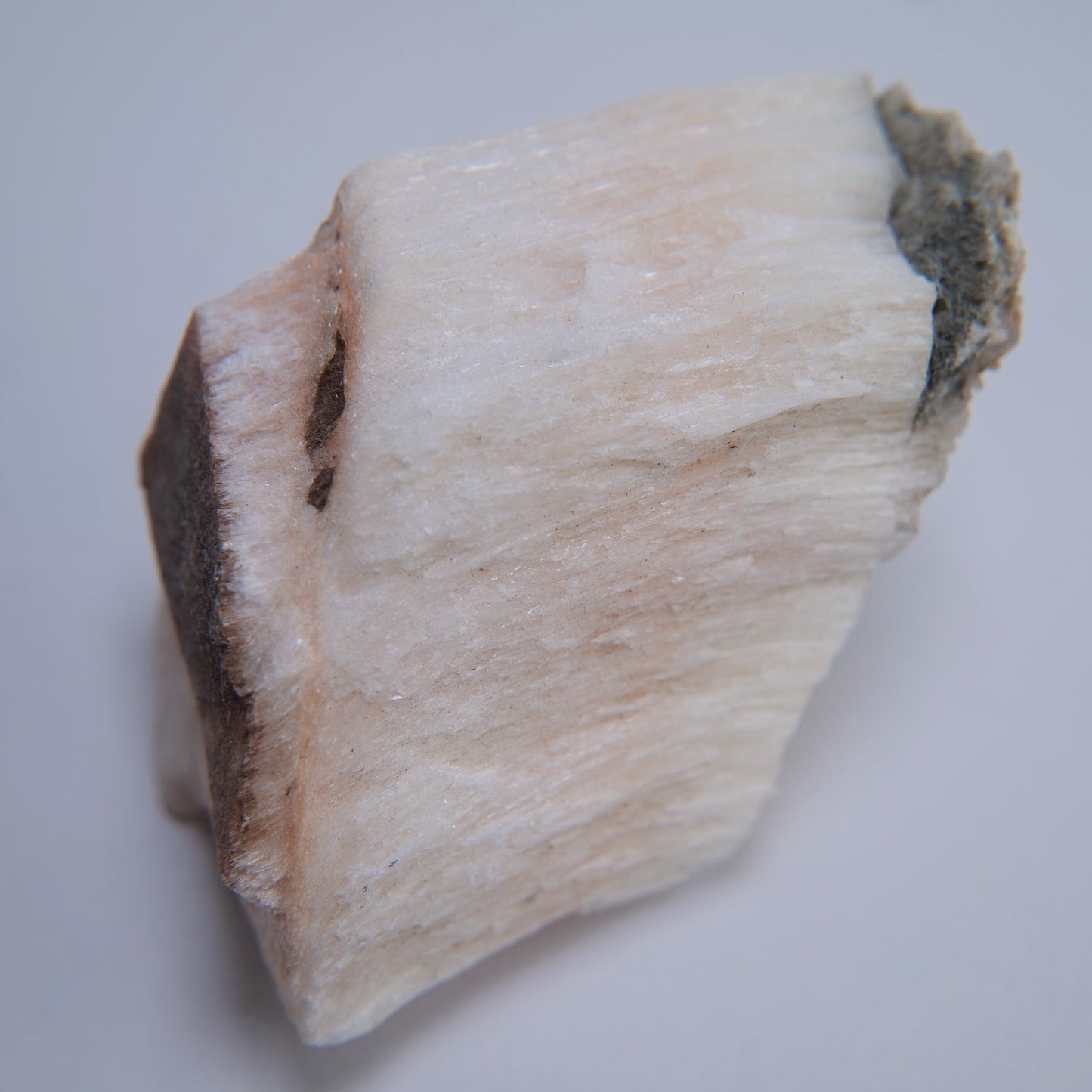 Selenite from Ringway Airport Extension, Cheshire, UK - 147g - Luna Panther