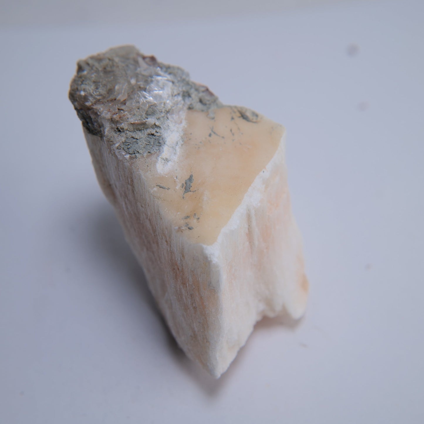 Selenite from Ringway Airport Extension, Cheshire, UK - 147g - Luna Panther