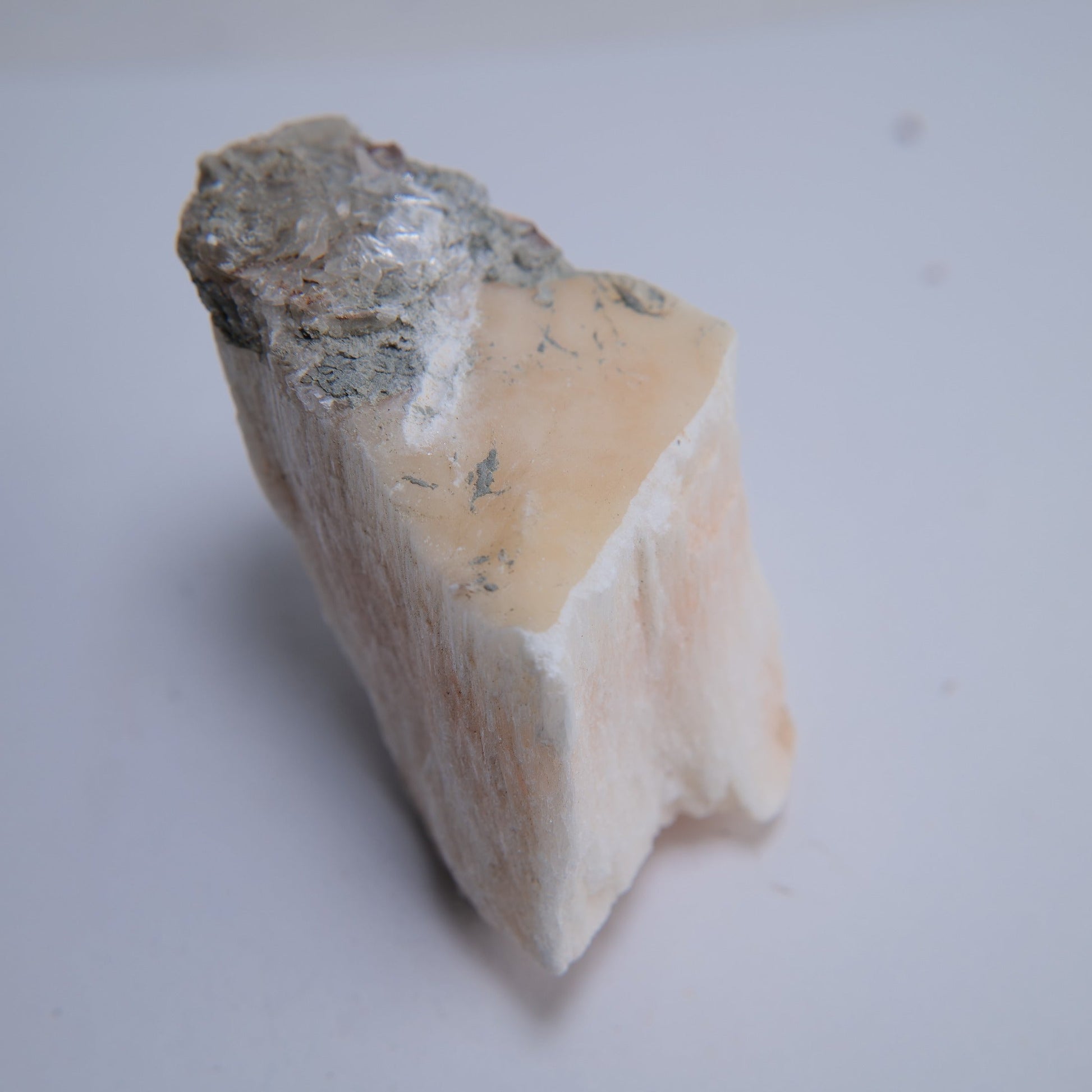 Selenite from Ringway Airport Extension, Cheshire, UK - 147g - Luna Panther