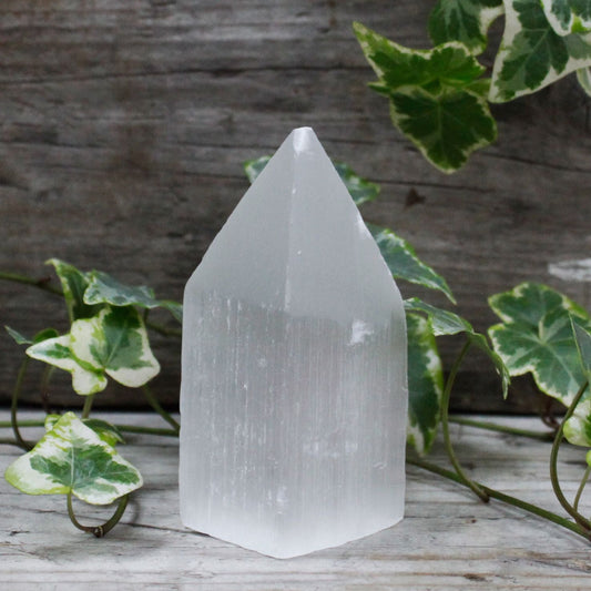 Polished Selenite Pencil Point Tower - 10 cm featuring satin white sheen and fibrous texture - Luna Panther
