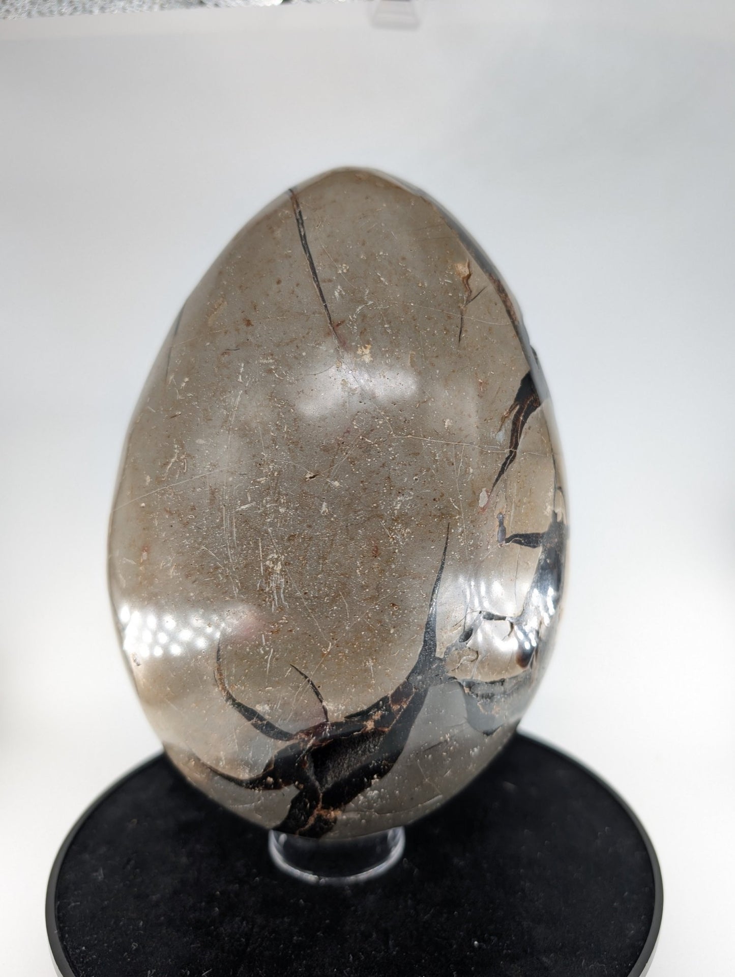 Polished Septarian Egg 4595G featuring natural patterning and unique variations - Luna Panther
