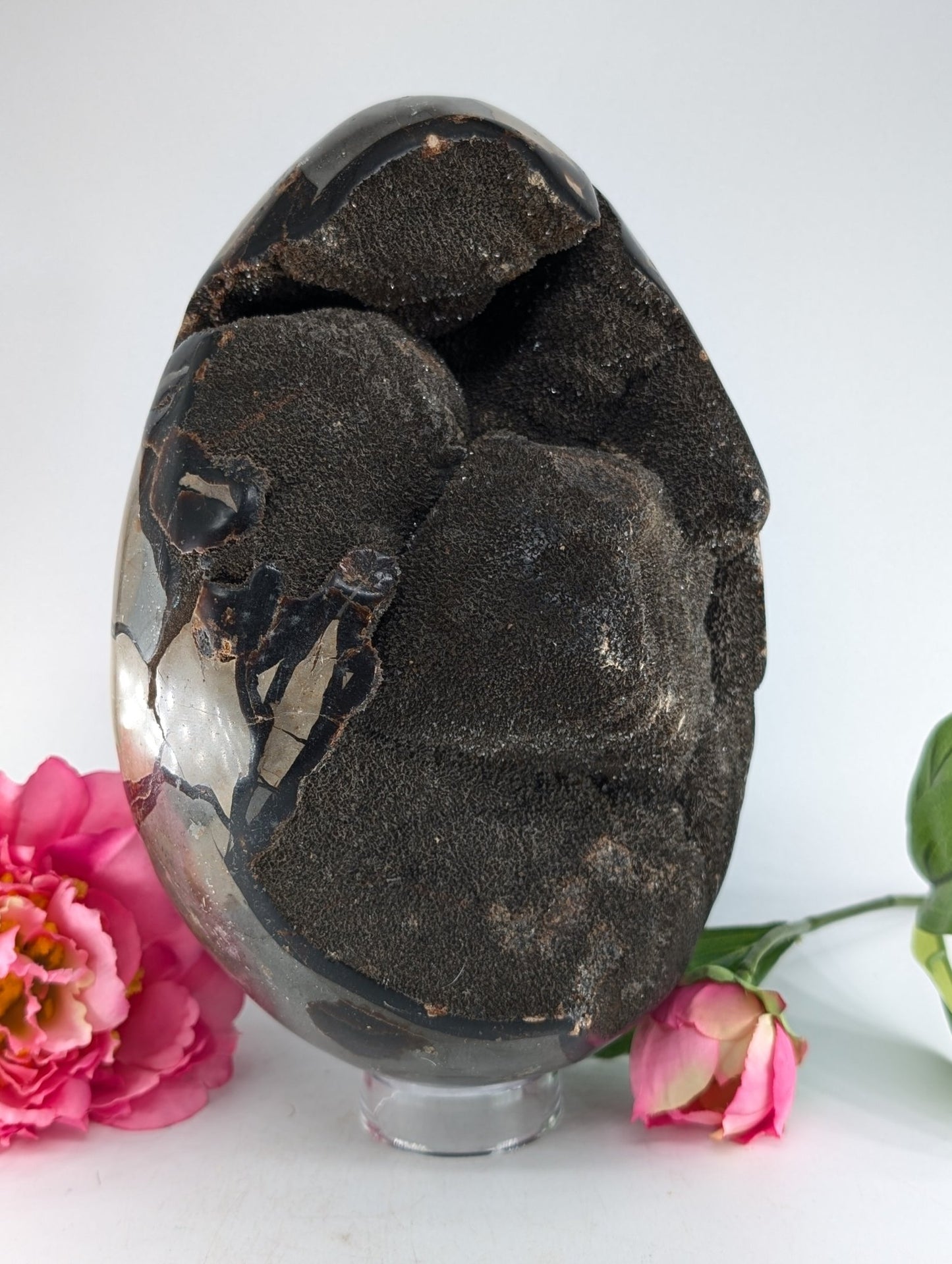 Polished Septarian Egg 4595g featuring natural patterning and unique variations - Luna Panther